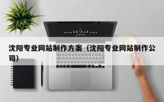 张家界沈阳专业网站制作方案（沈阳专业网站制作公司）